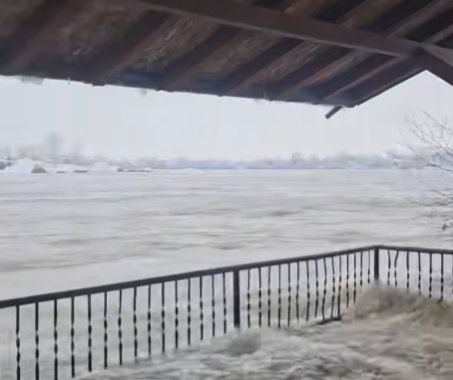 Screenshot 2026-01-07 115816