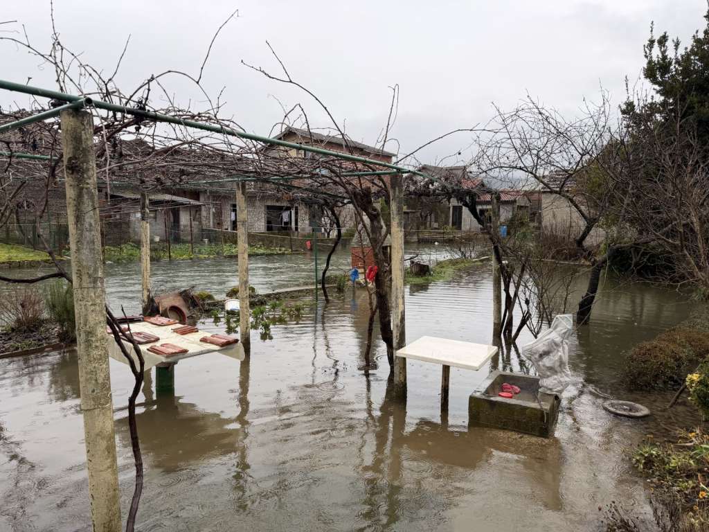 l_f4b7f4c4ed1506cbb184d60f67e96094