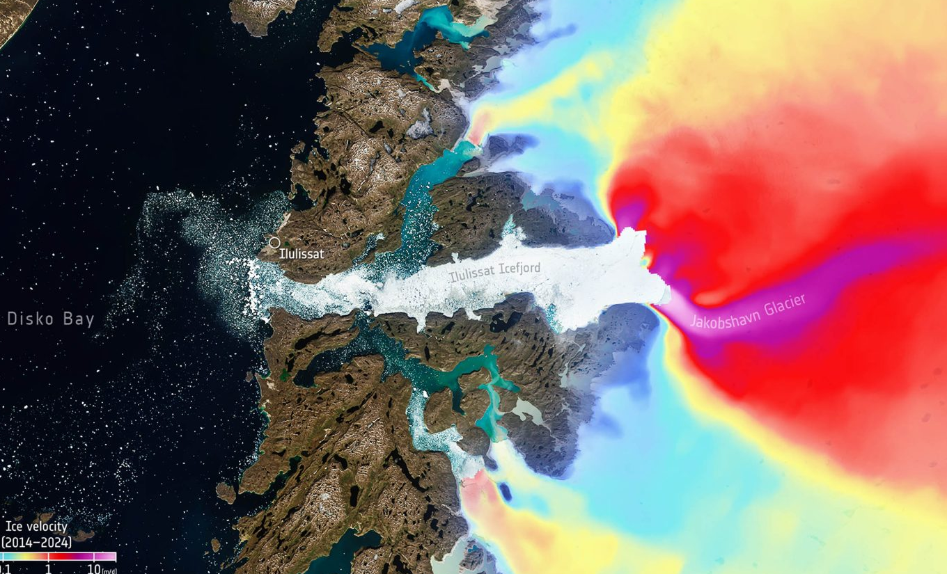 Screenshot 2026-01-13 152229