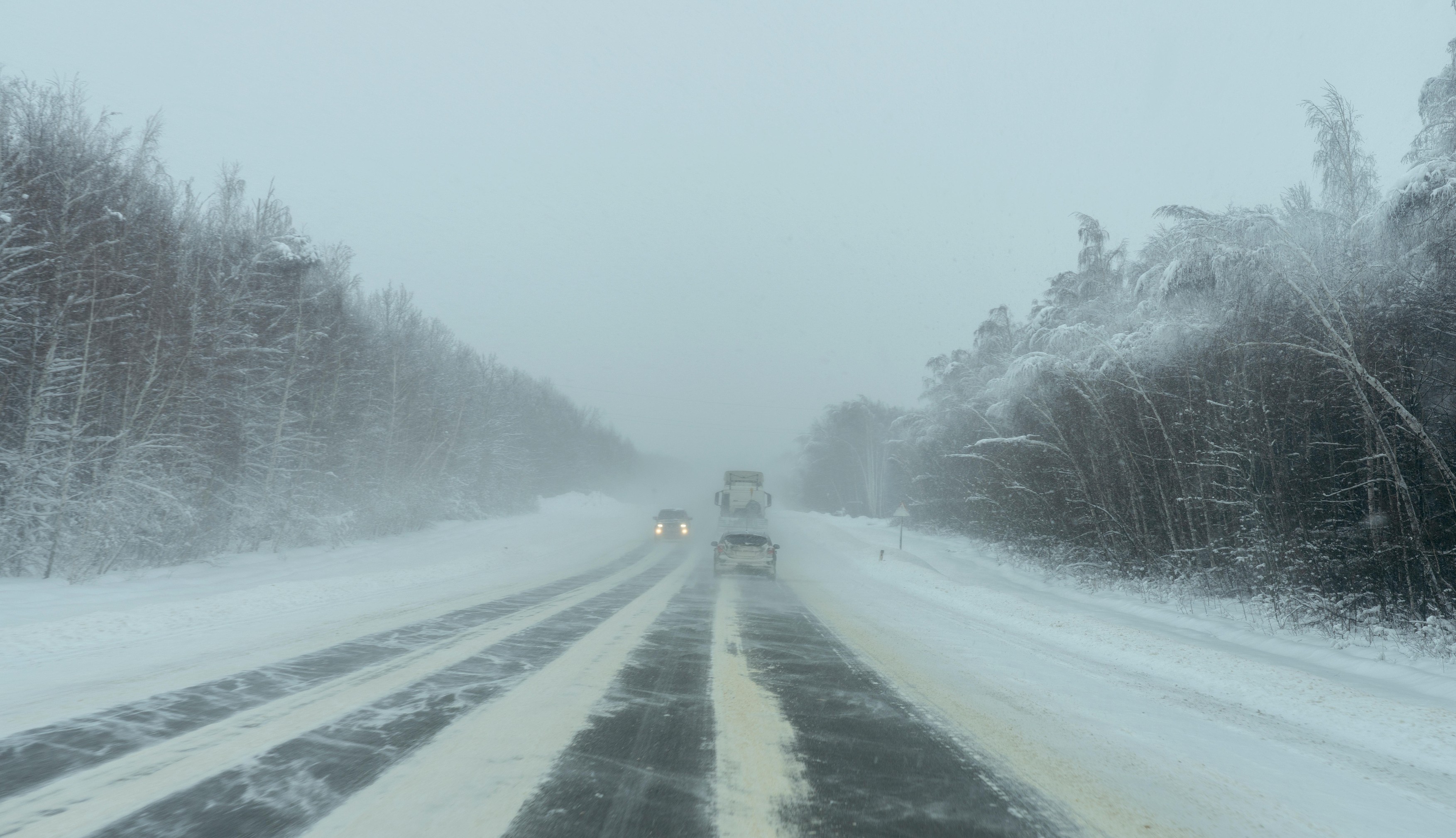 Image: 407979046, License: Royalty-free, Restrictions