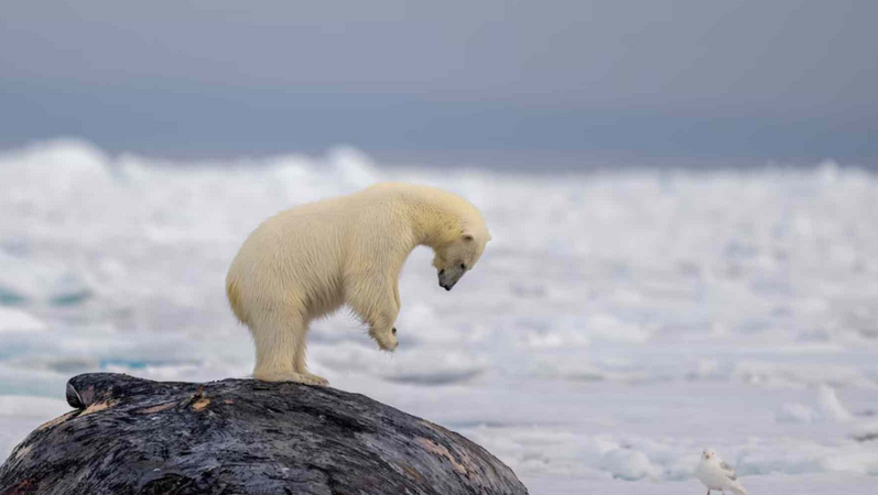 Screenshot 2026-01-13 213522