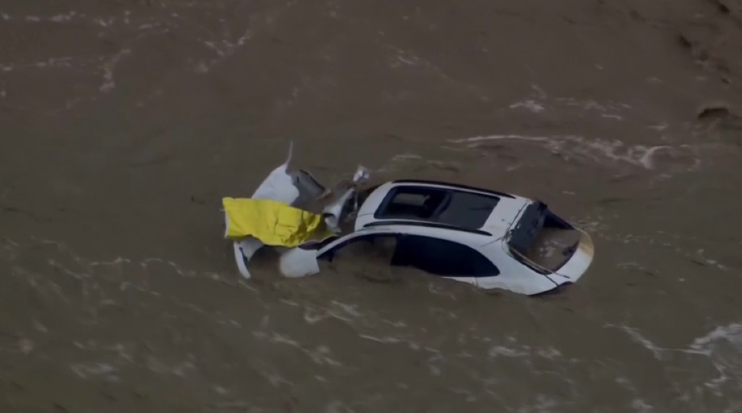 Screenshot 2026-01-15 095753