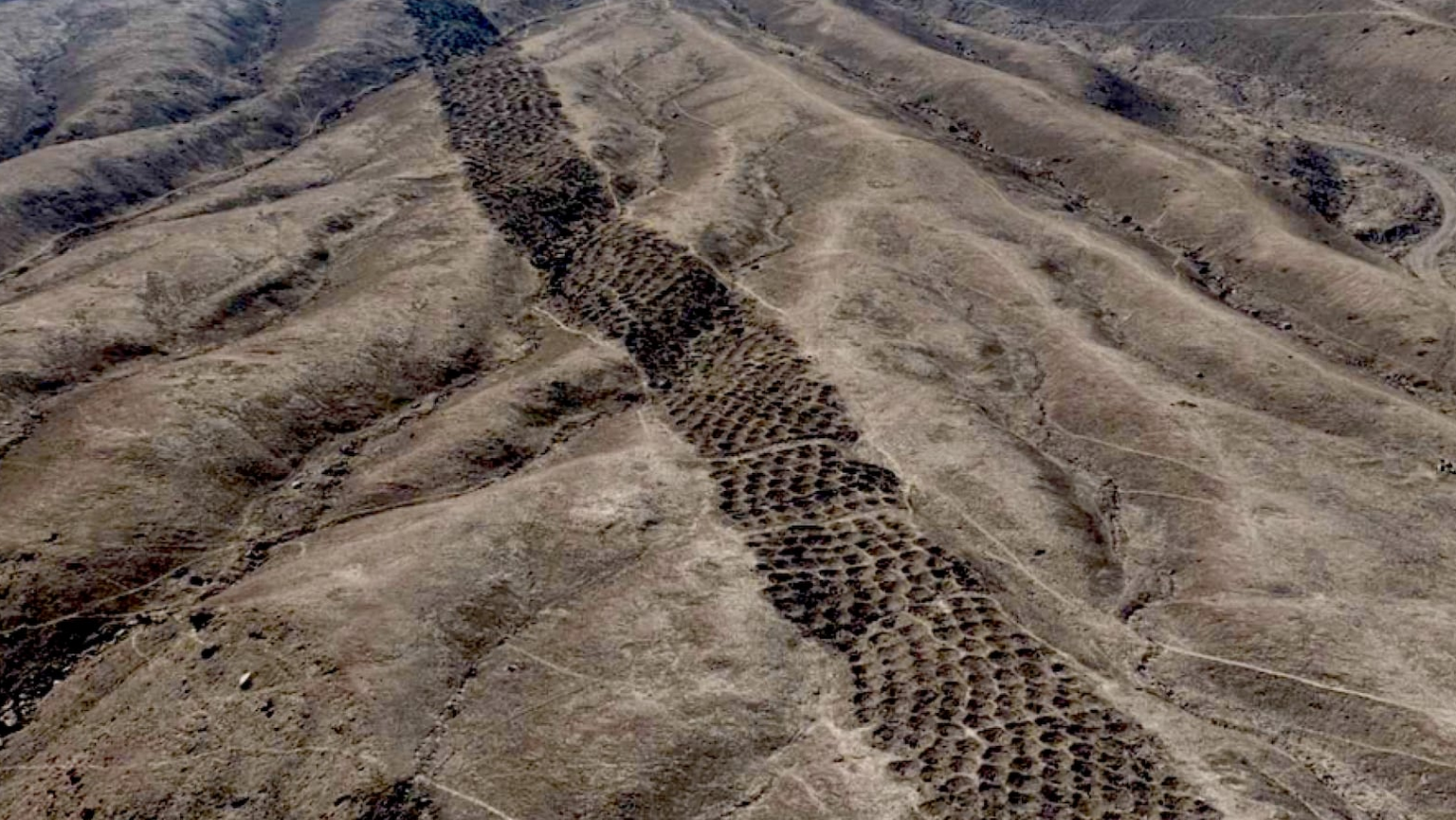 Screenshot 2026-01-15 153654