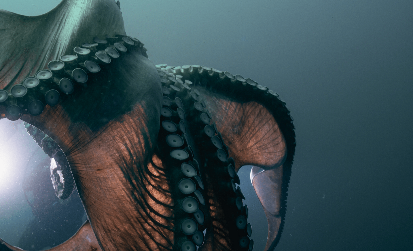 Screenshot 2026-01-18 123826