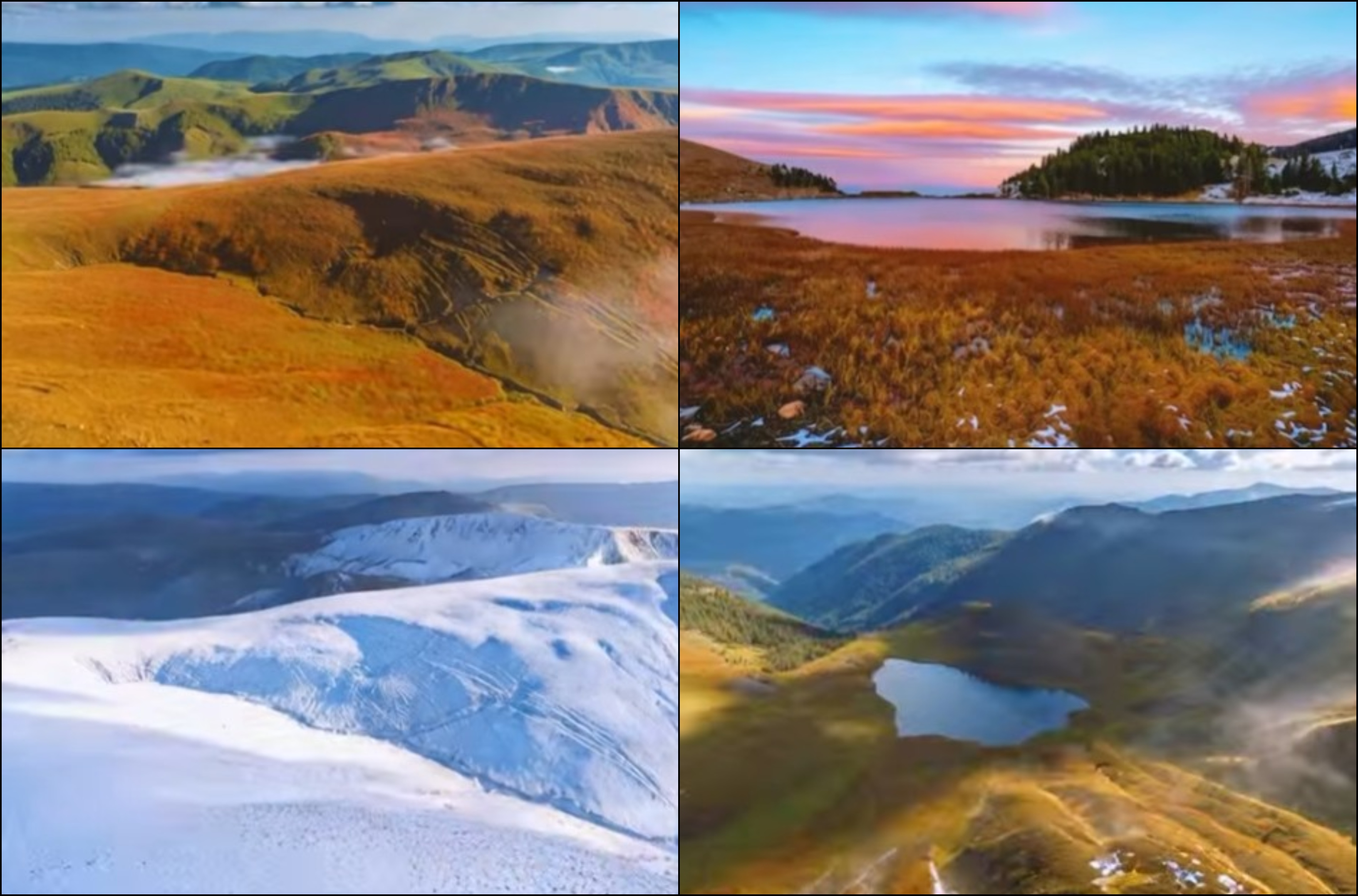 BeFunky-collage (88)