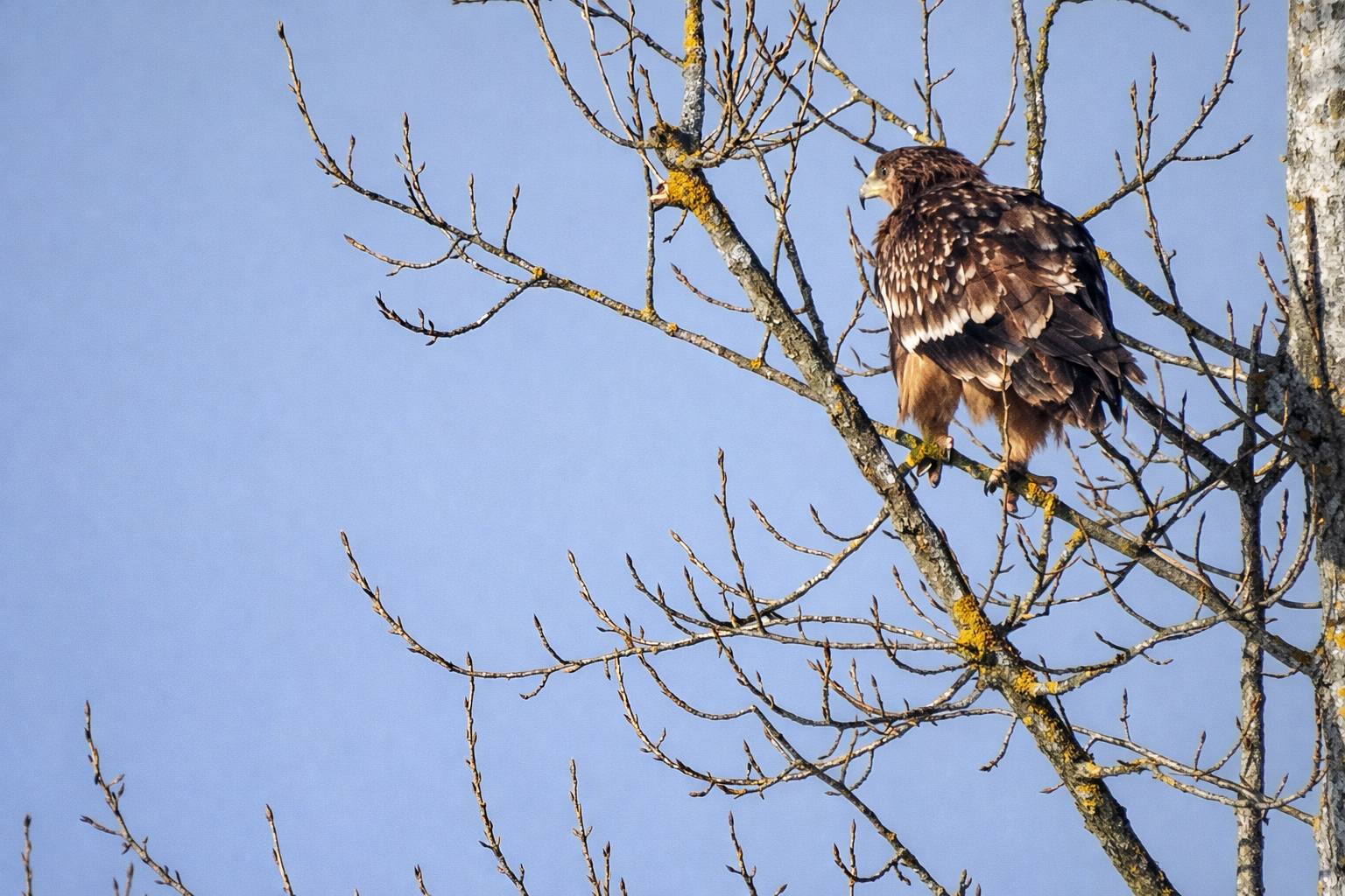 617915217_122149117952953933_5916024686674629919_n