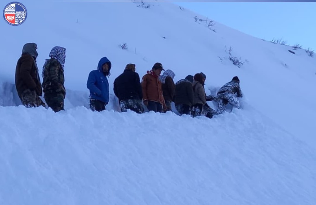 Screenshot 2026-01-24 184932