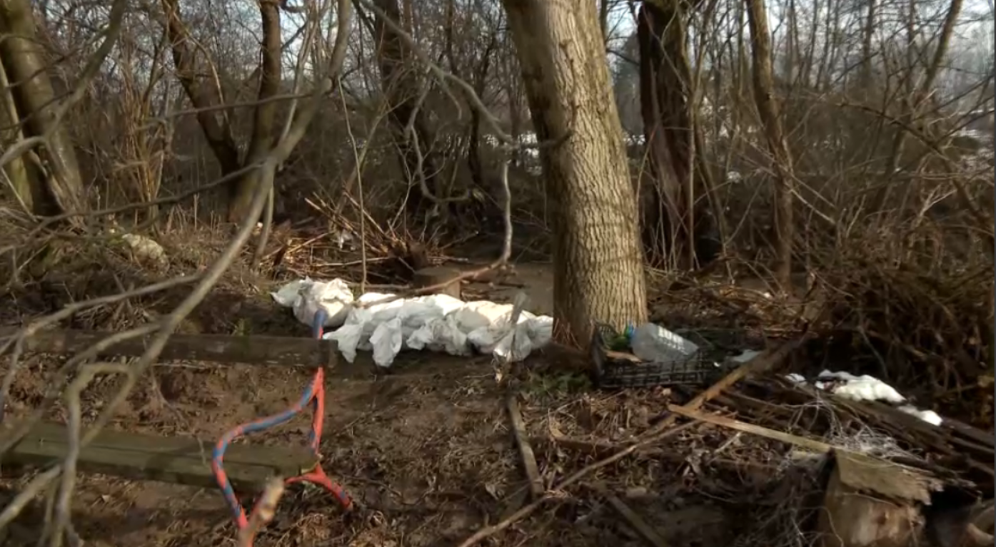 Screenshot 2026-01-26 103722