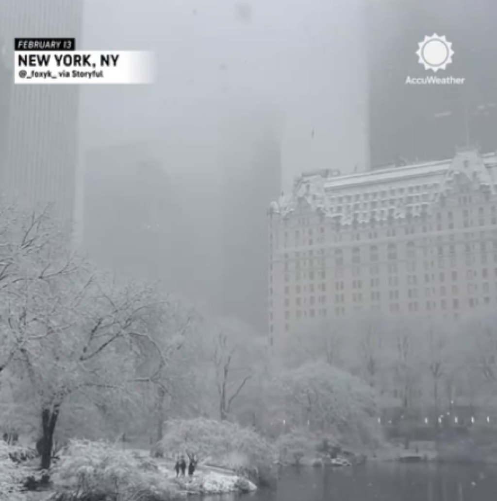 l_c812be2203ca885470be7fff62c5186e