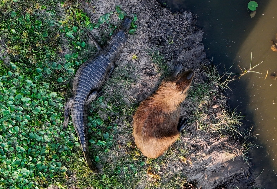 Screenshot 2026-01-26 171641