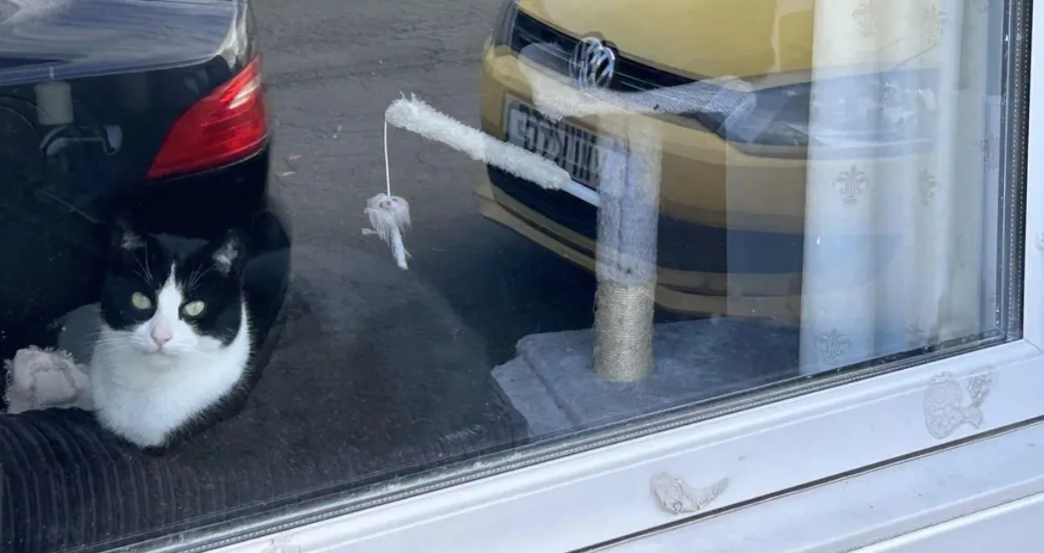 Screenshot 2026-01-29 153943