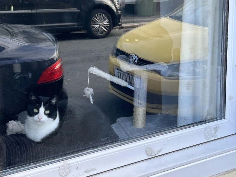 Screenshot 2026-01-29 154041