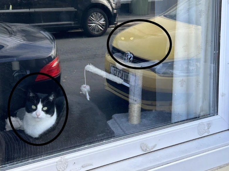 Screenshot 2026-01-29 154506