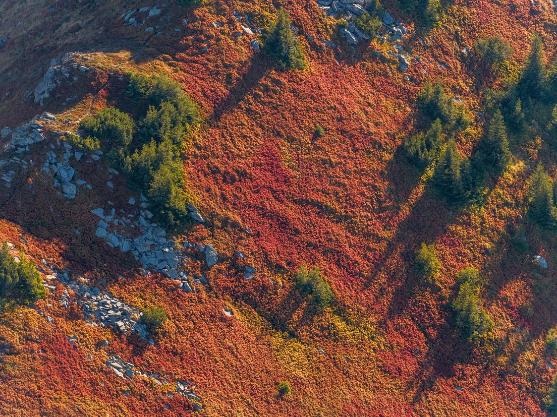 63406715-vranica.jpg