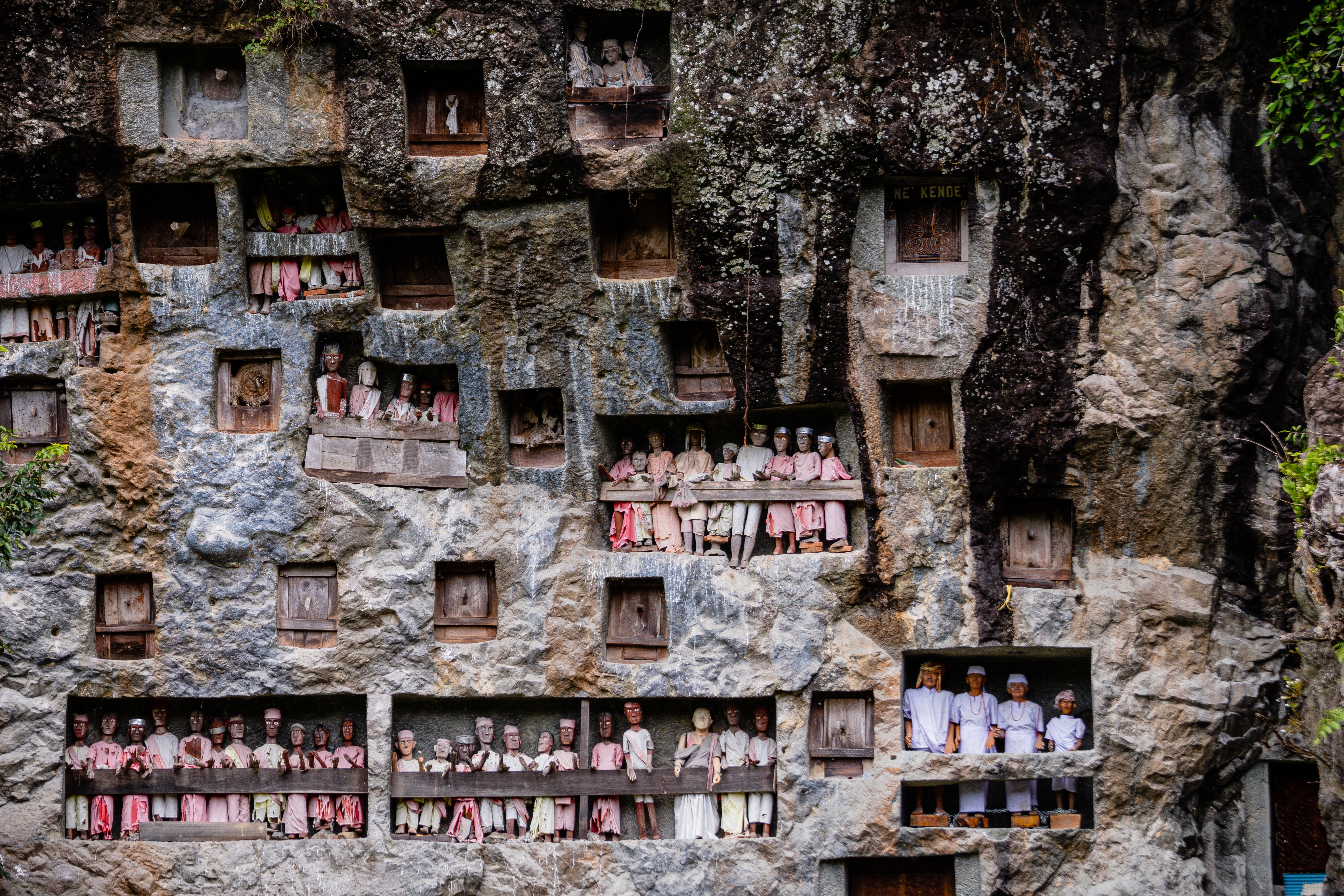lemu toraja