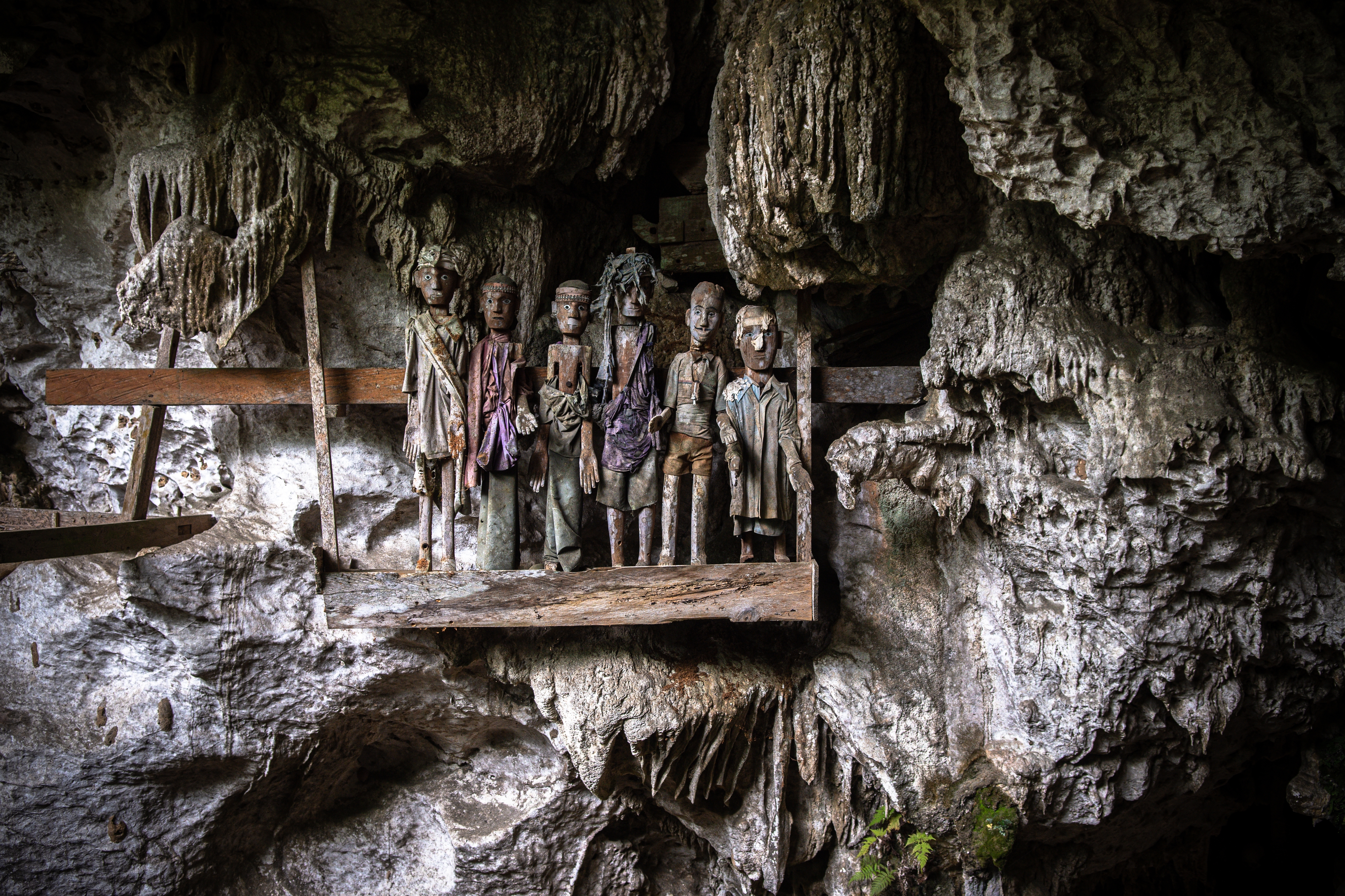 lemu toraja