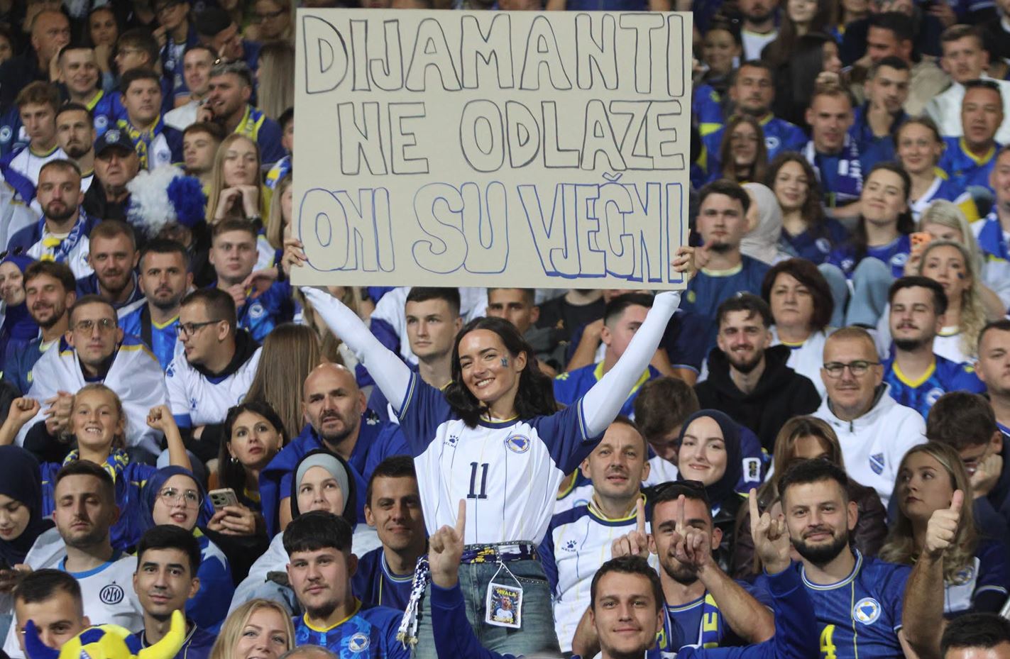 navijaci bih bilino polje dzeko