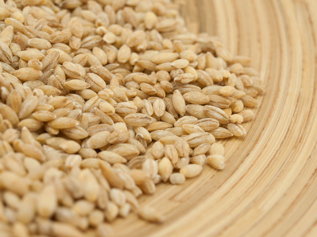 Close-up image of a pile of barley grains on a circular wooden surface, possibly related to the reference "jecam_530468c21a978" and the date "2026-10-20".