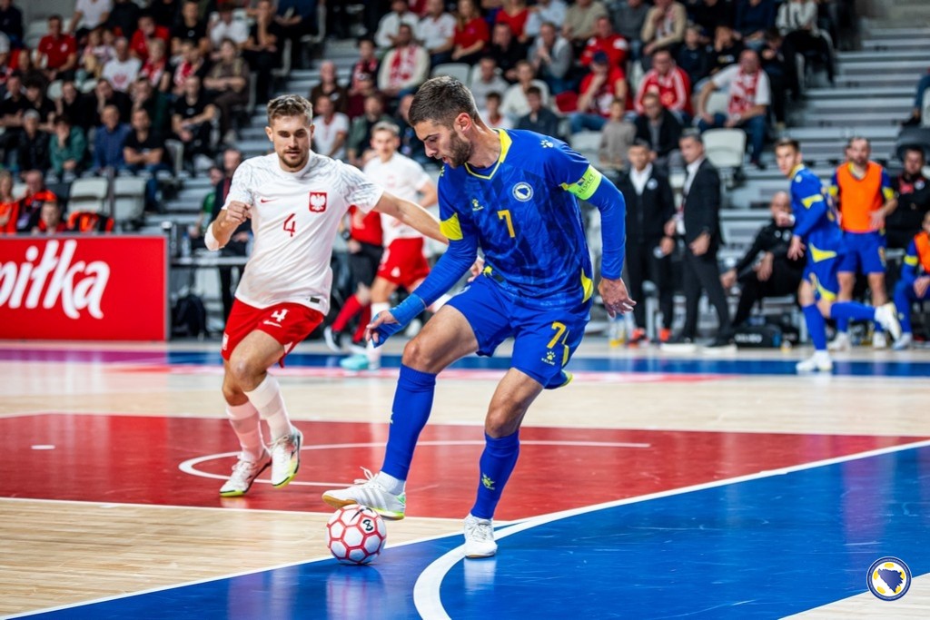 bih poljska