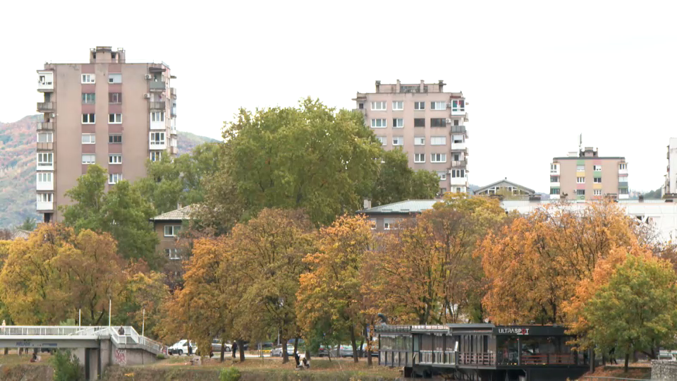 zenica1