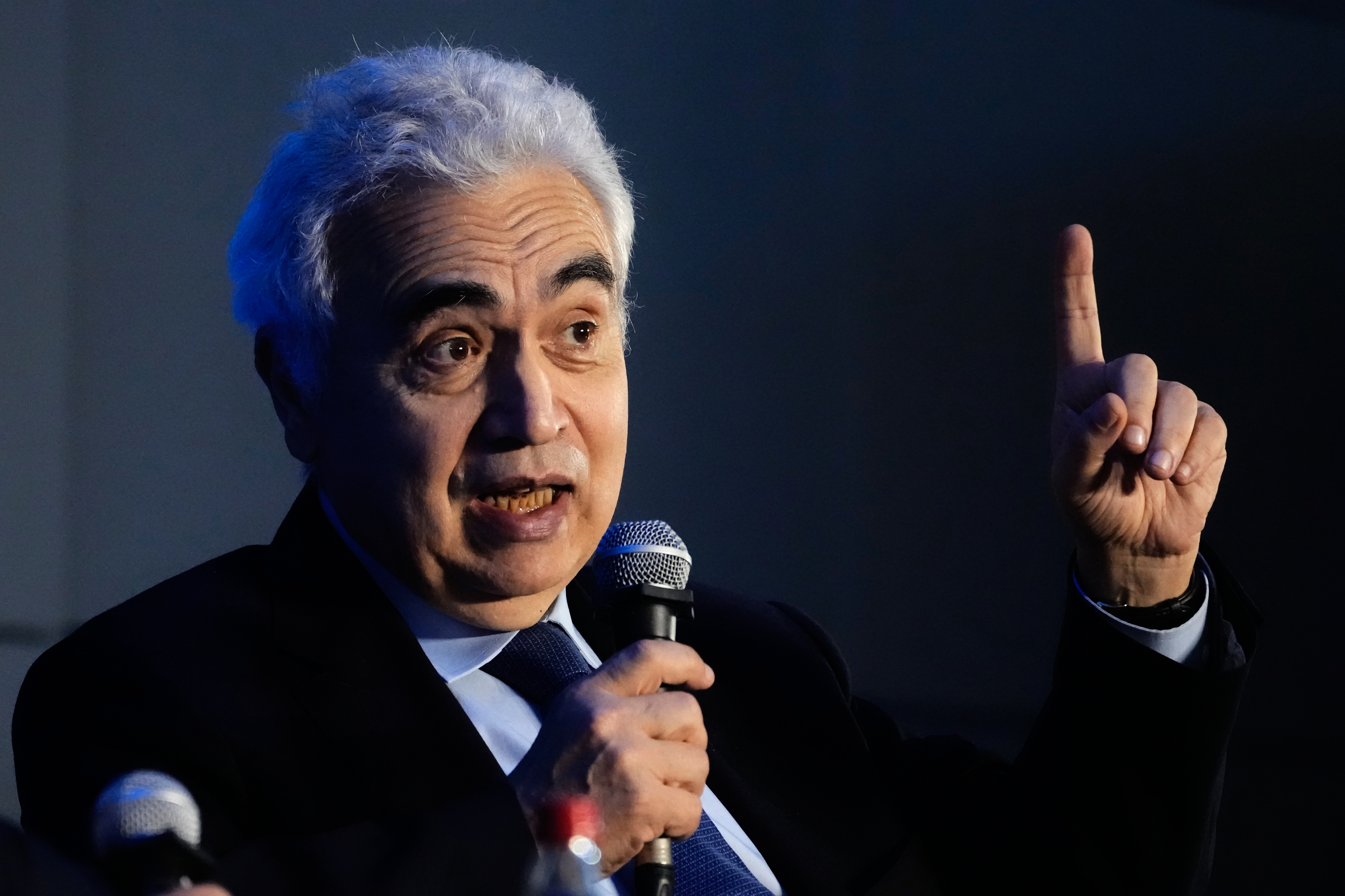 Executive Director of International Energy Agency (IEA) Fatih Birol