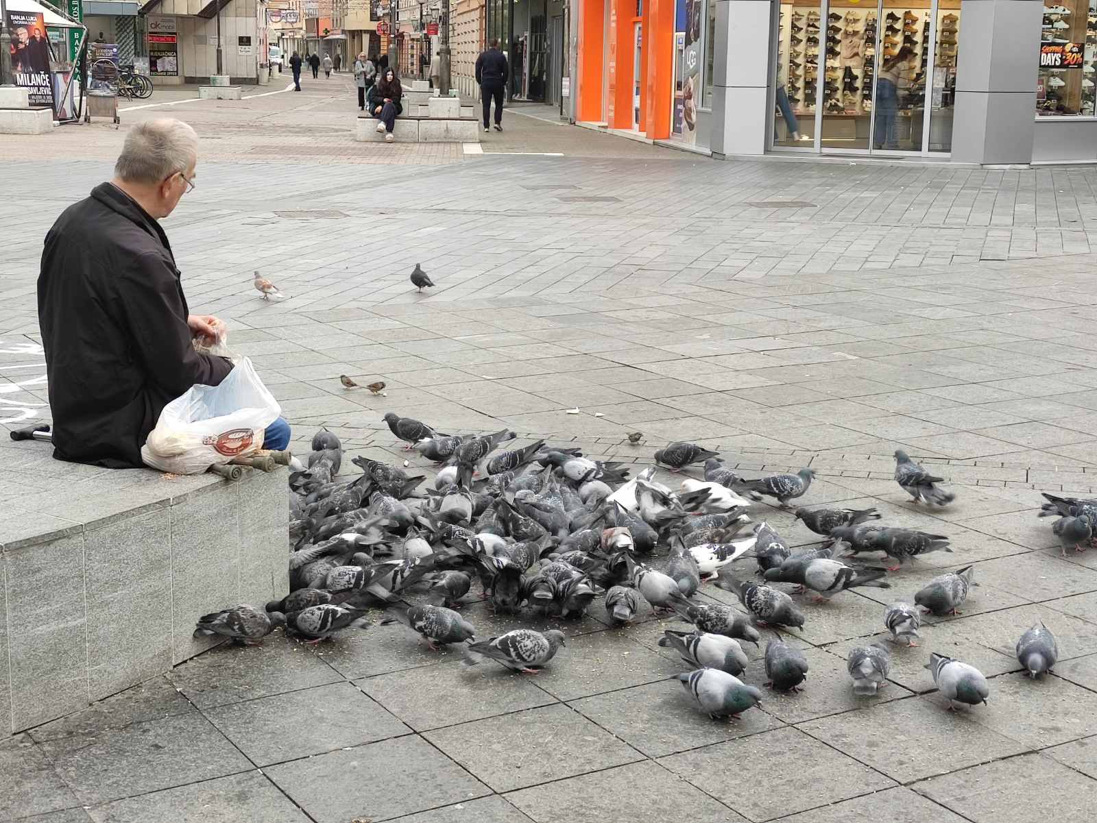 banjalučanin hrani golubove