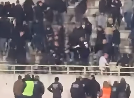 navijači partizan