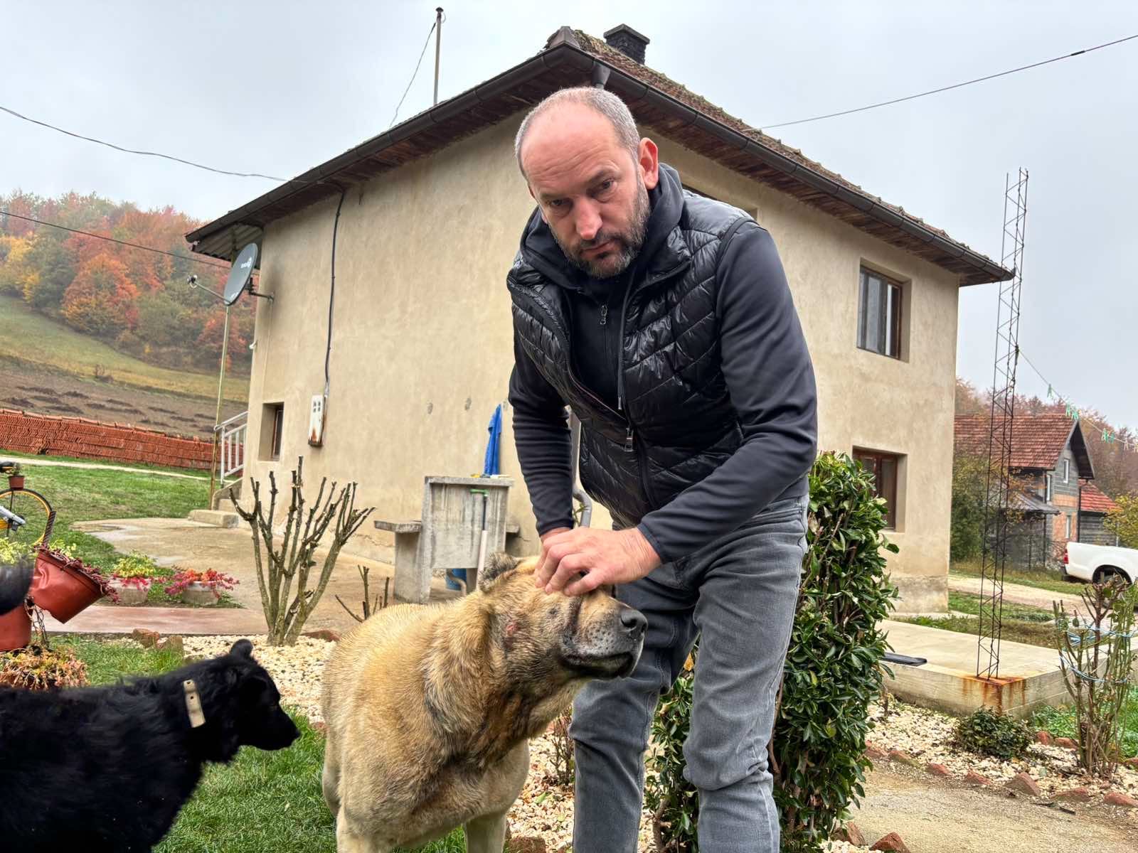 kangal