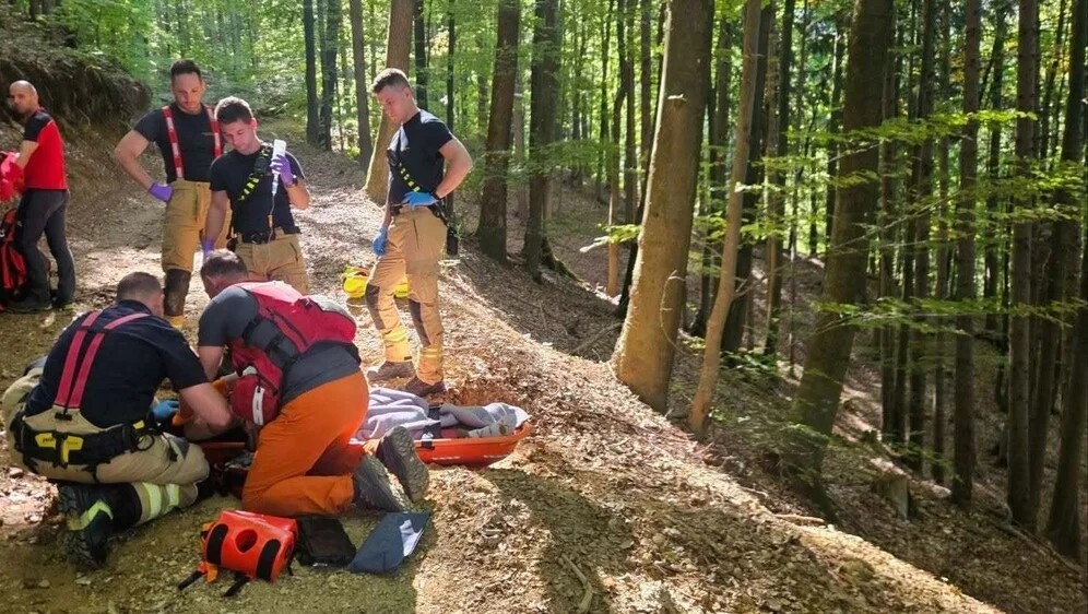 Poznati slovenski političar teško stradao u branju gljiva: Hitno prevezen helikopterom u bolnicu