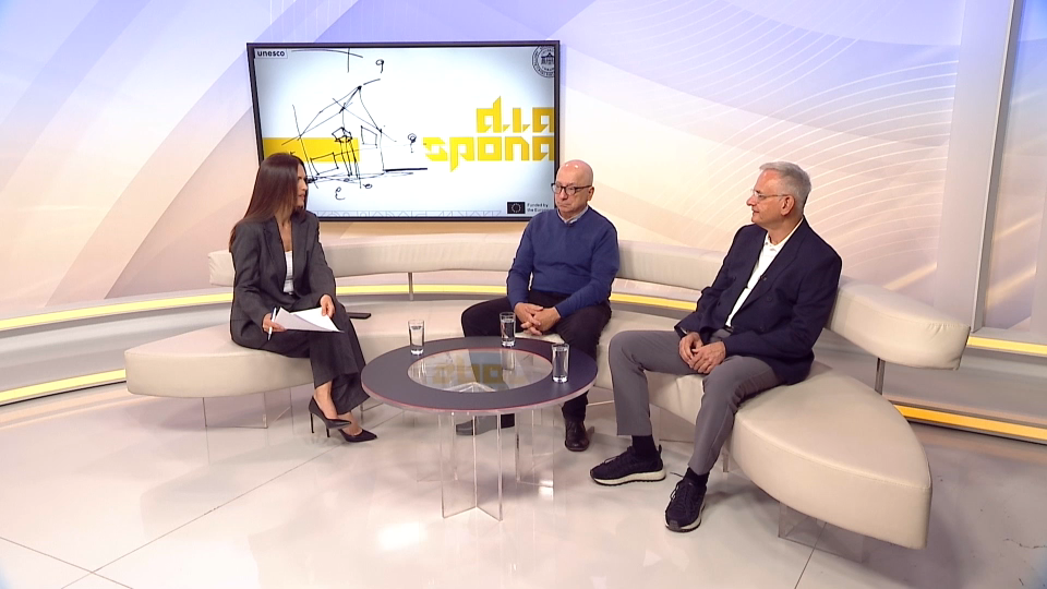 Vladimir Krstić i Damir Dan Šehić