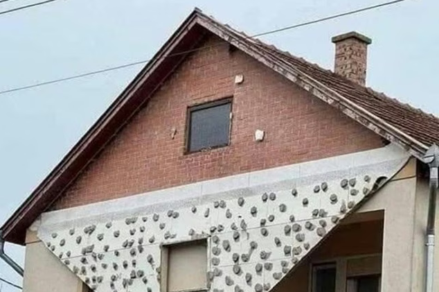 Screenshot 2026-02-02 111756