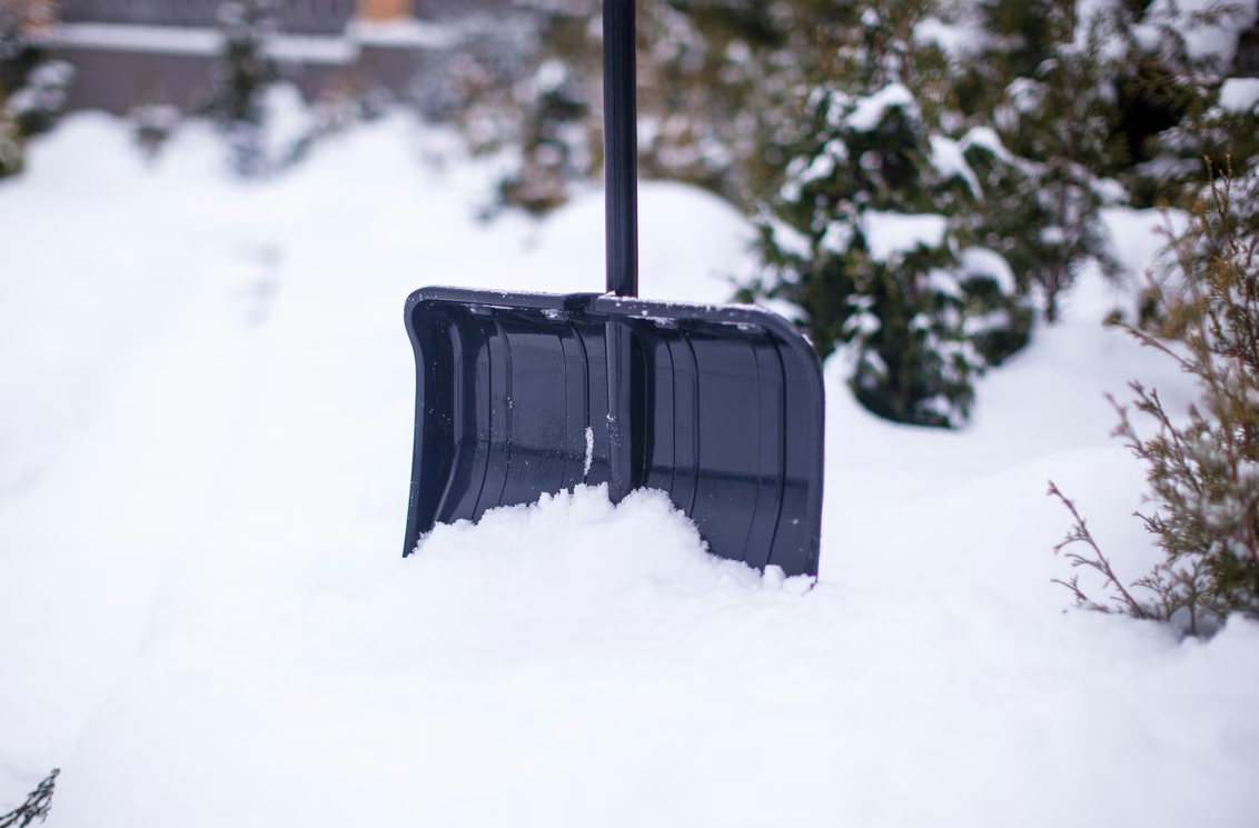 Screenshot 2026-02-02 113421