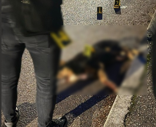 075a9a80-6c4c-4aa8-a894-e2584bc7da93