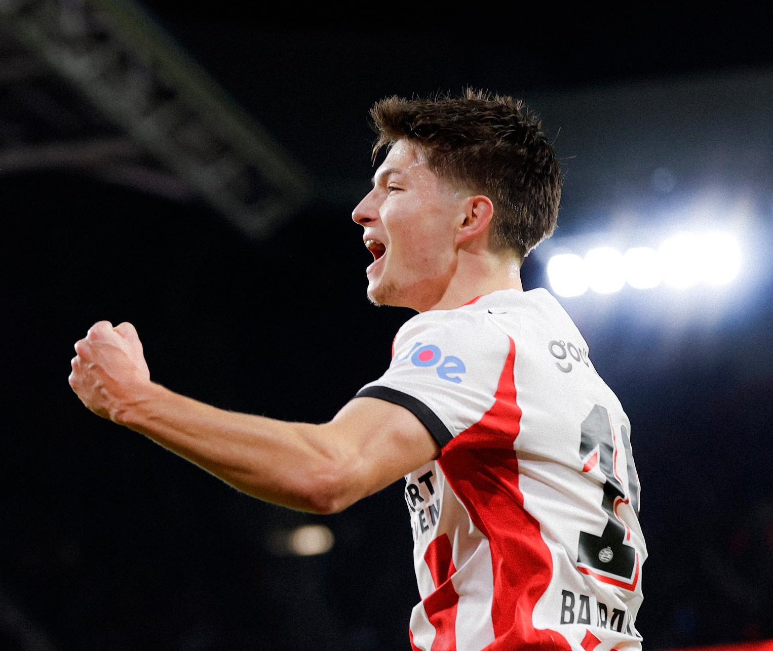 esmir bajraktarević