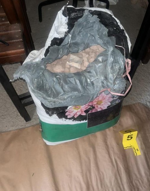 Screenshot 2026-02-10 092031.jpg