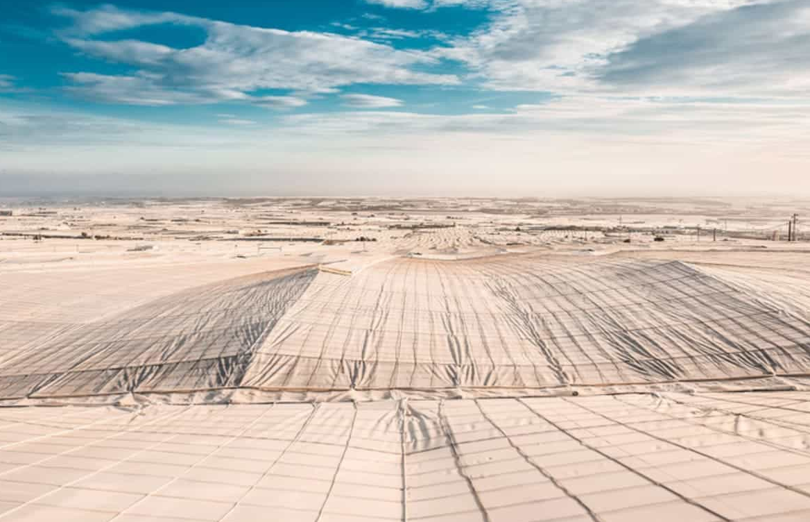 Screenshot 2026-02-10 161936