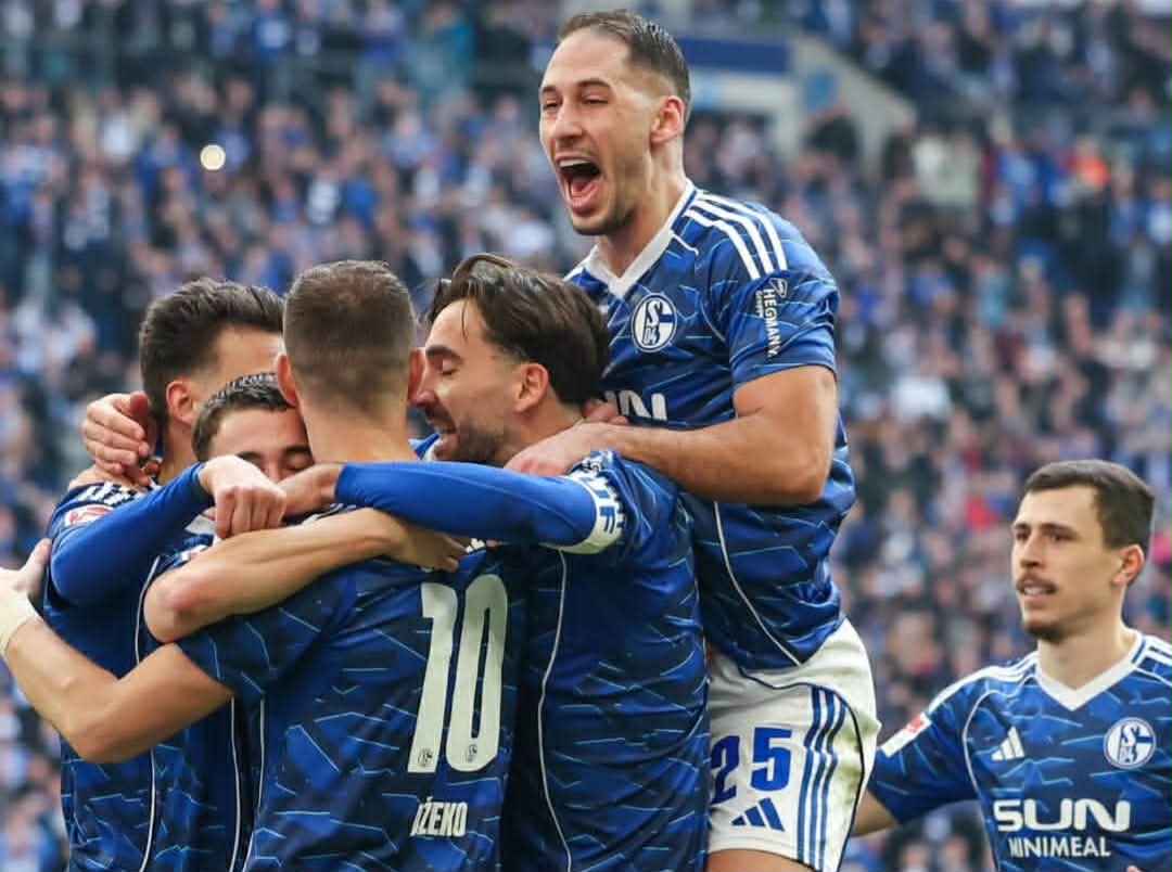 Nikola Katić Edin Džeko