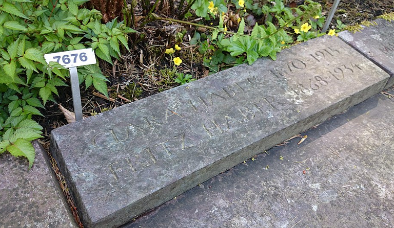 Screenshot 2026-02-17 153343