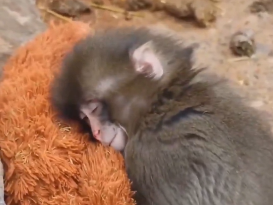 Screenshot 2026-02-19 082648