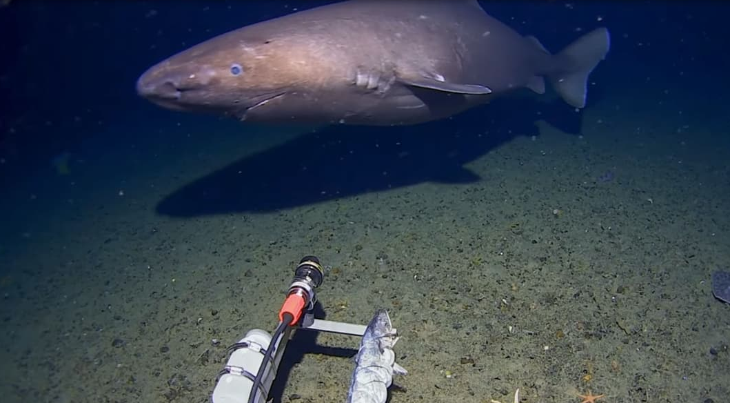 Screenshot 2026-02-19 151753