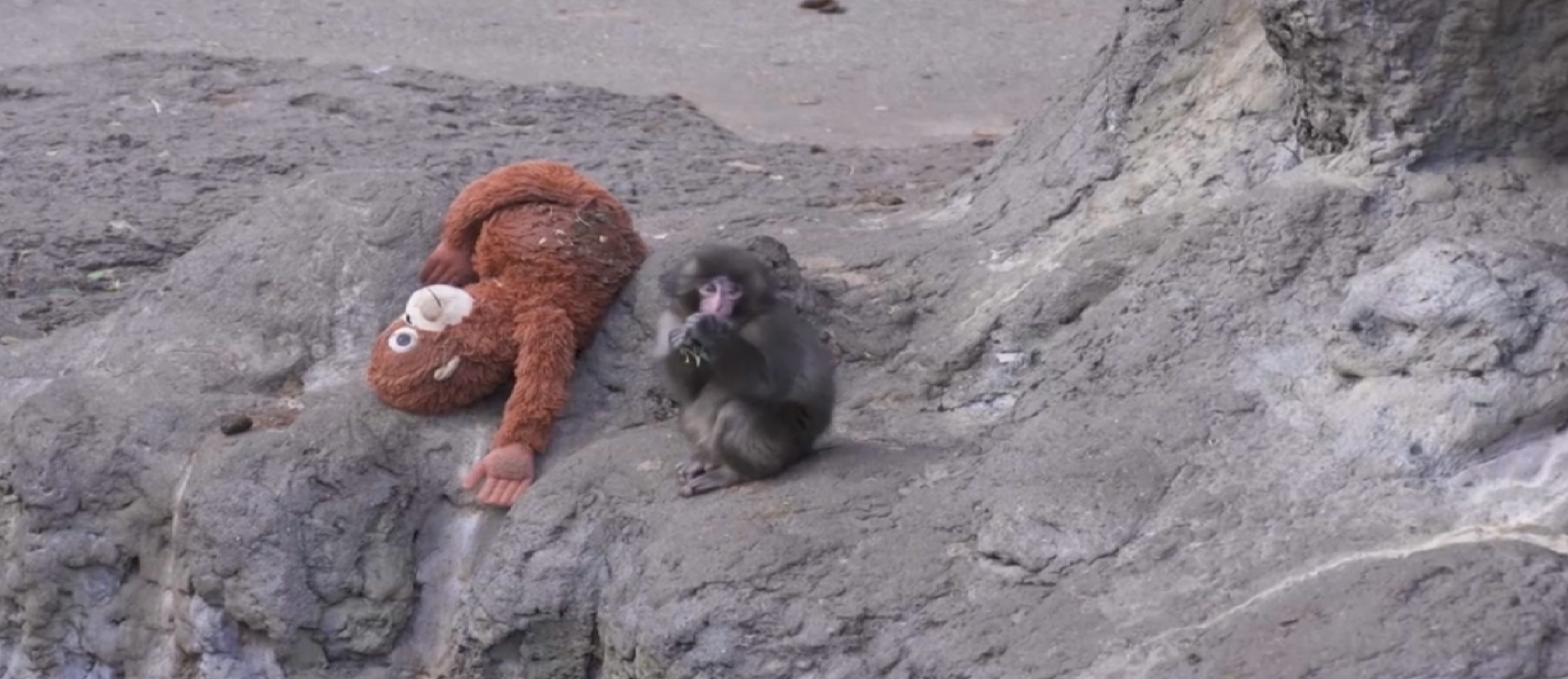 Screenshot 2026-02-22 212108