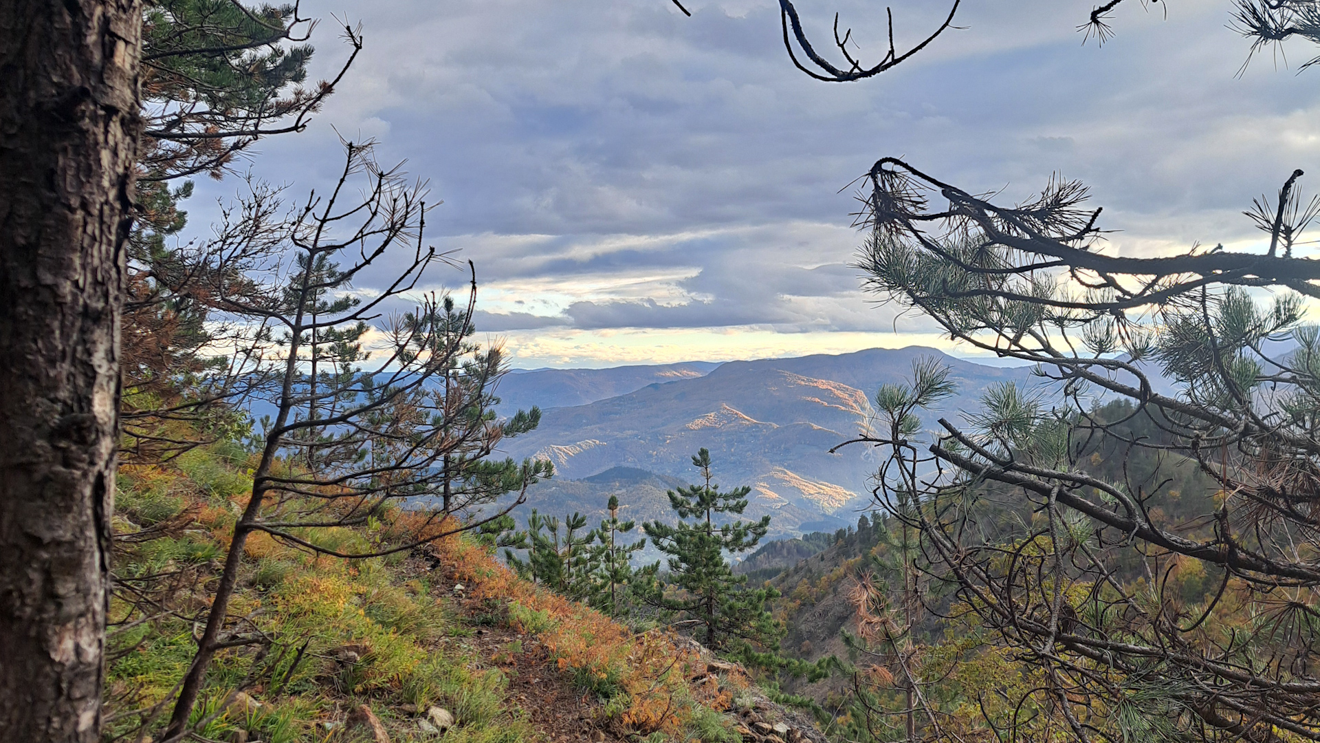 Salamander trail 6.jpg