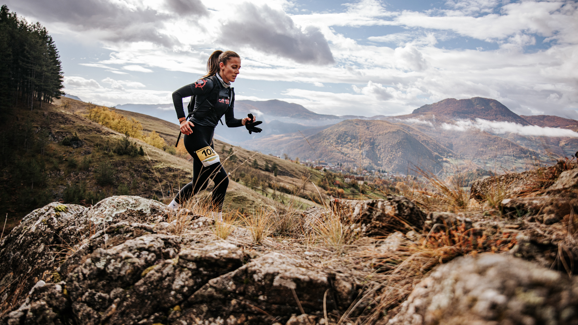 Salamander trail 1.jpg