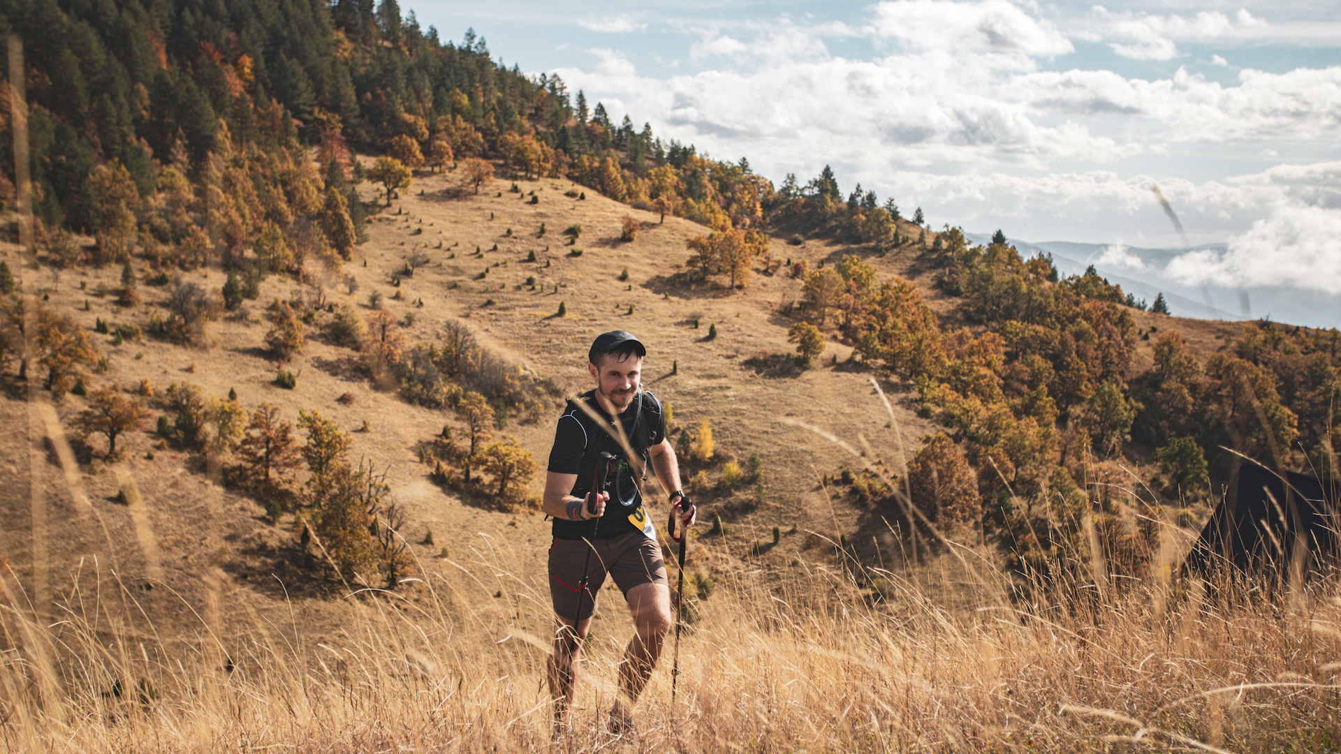 Salamander trail 4.jpg