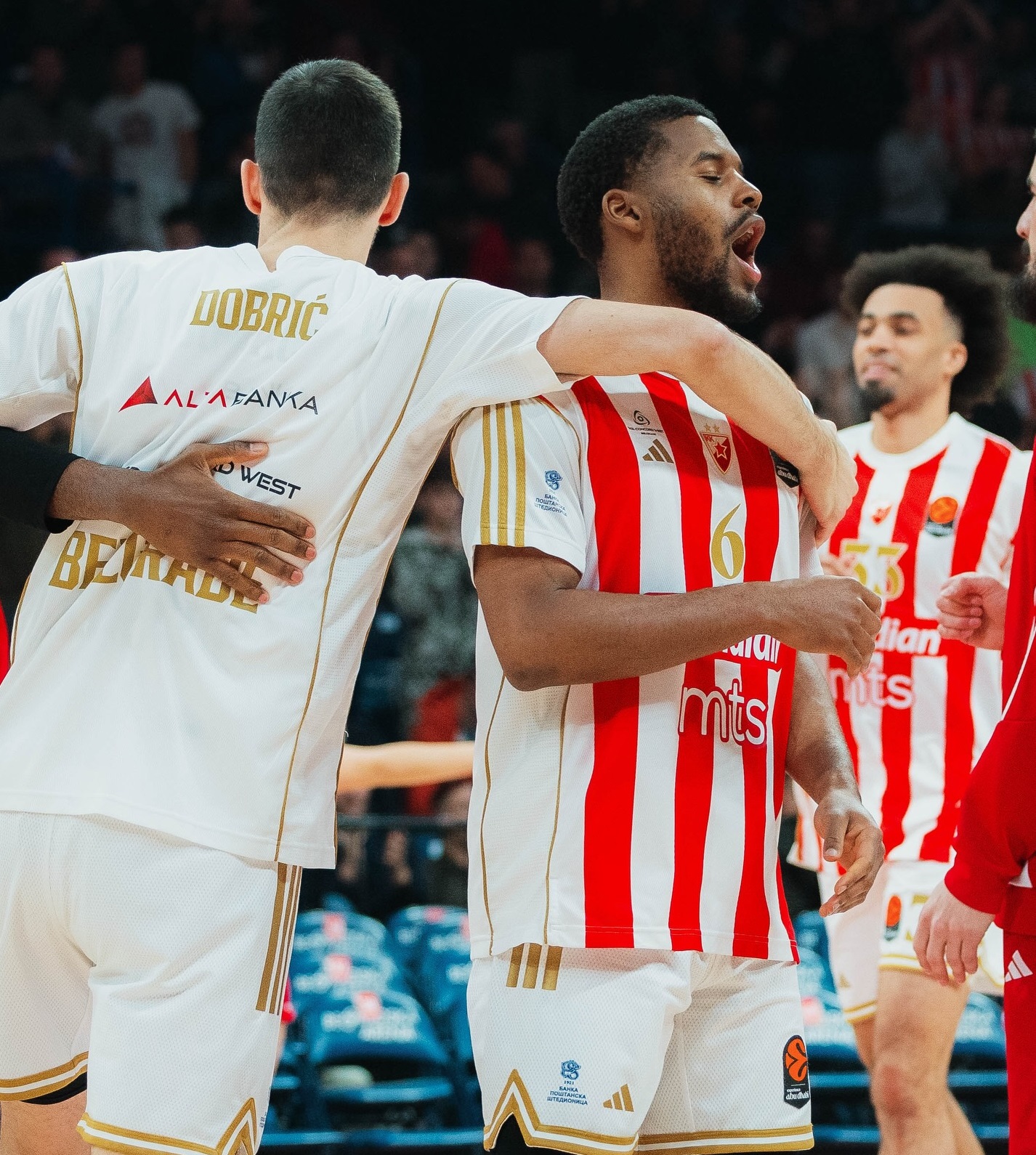 kk crvena zvezda