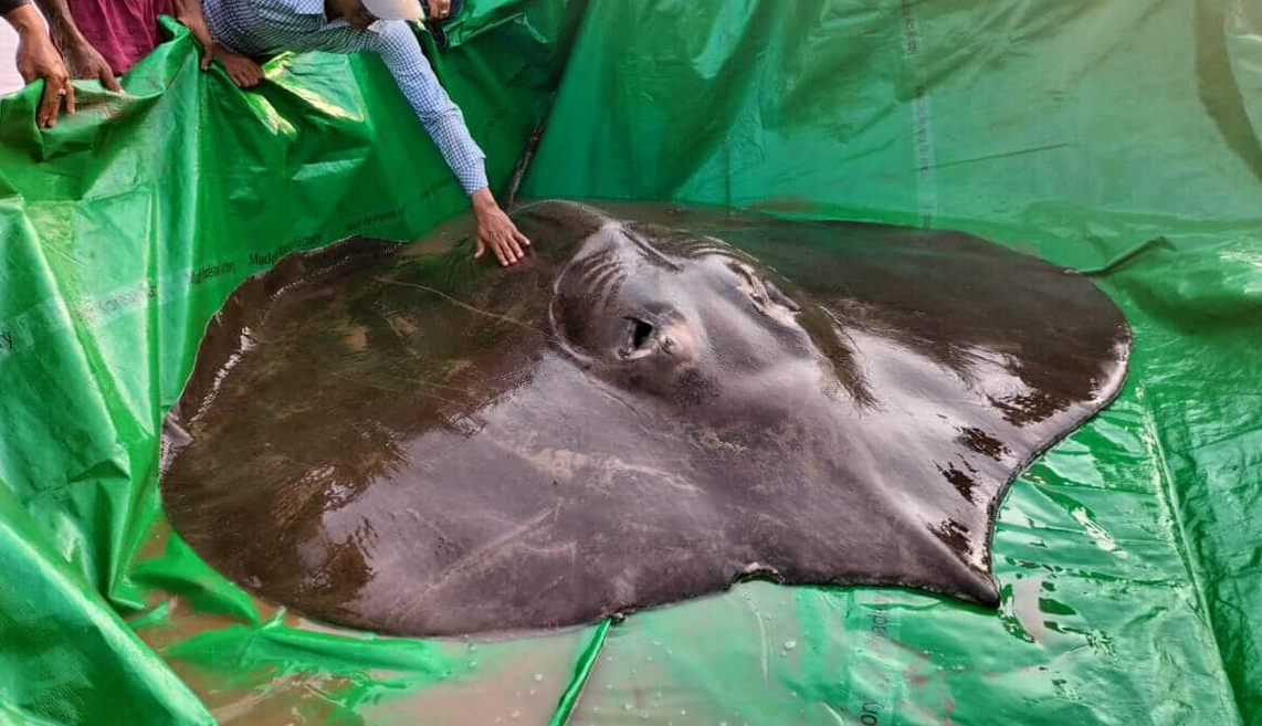 Screenshot 2026-03-05 154705