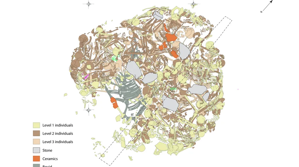 Screenshot 2026-03-06 143813