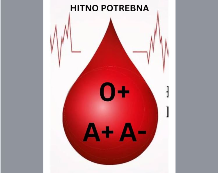 zavod za transfuziologiju fbih
