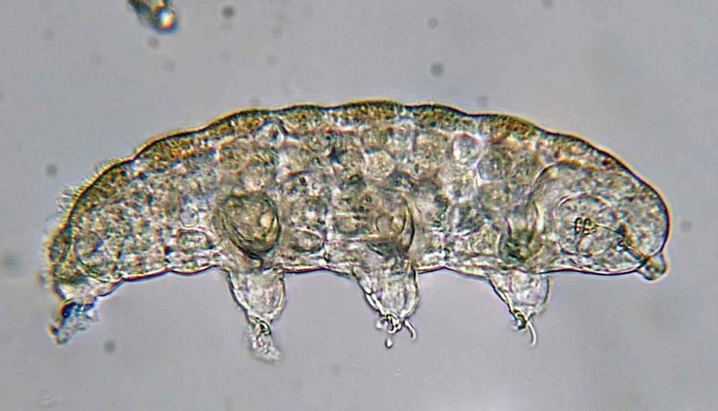 Screenshot 2026-03-11 165407