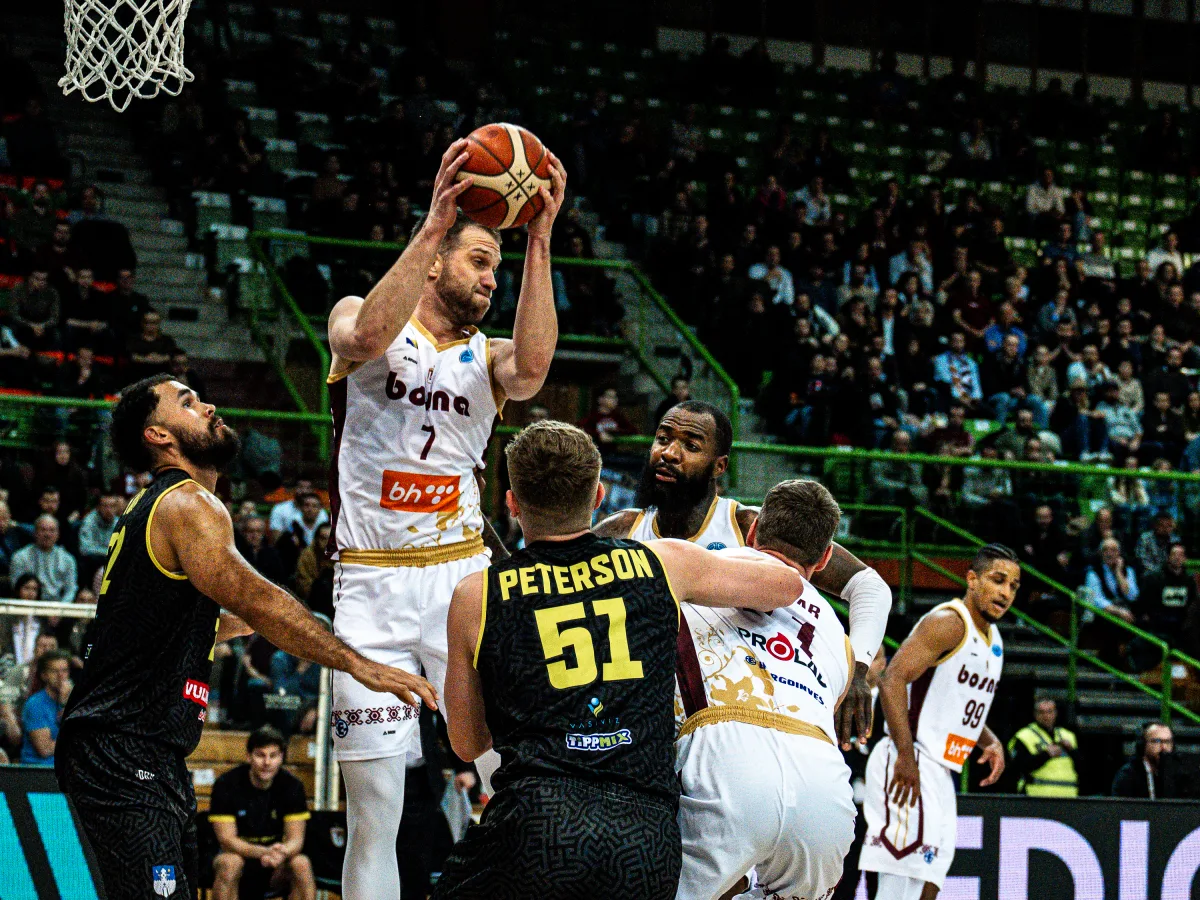 Miralem Halilović Mađari.webp